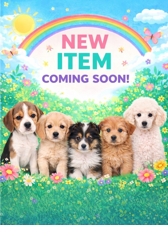 Kate Spade - Picture 1 of 11